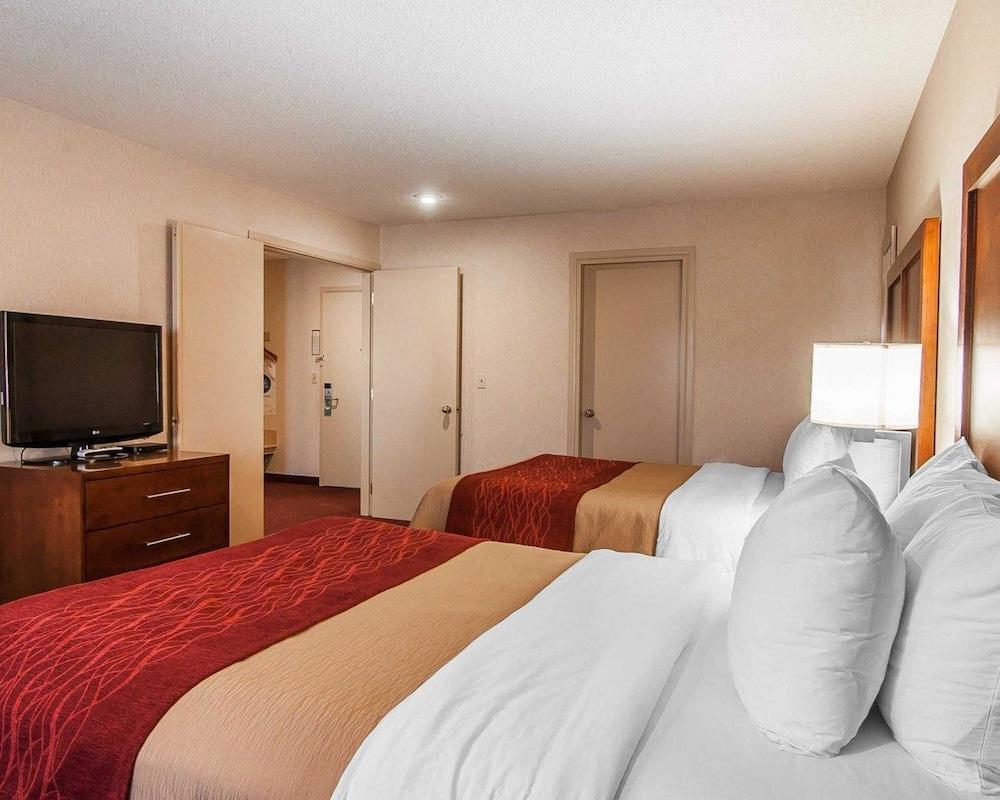 Comfort Inn & Suites קלאמאת' פולס מראה חיצוני תמונה